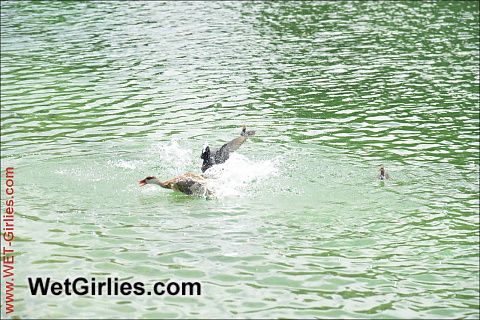 Duck Lake!