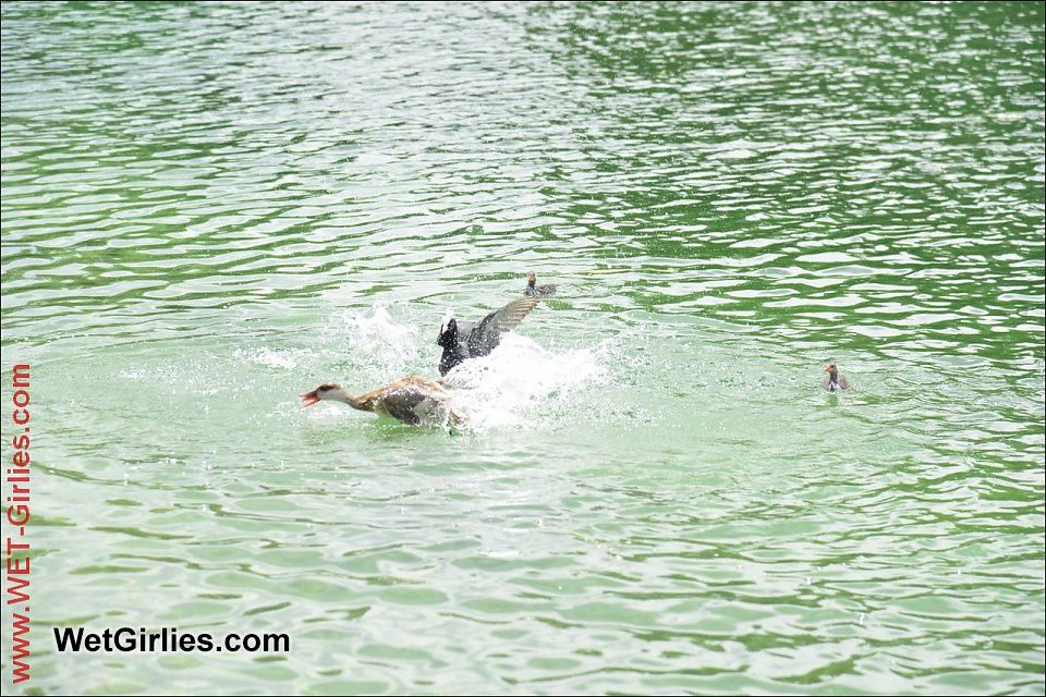 Duck Lake!